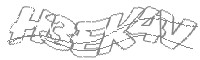 Check code